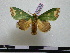  ( - BC-PTh0494)  @14 [ ] Copyright (2010) Unspecified Research Collection of Paul Thiaucourt