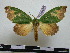  ( - BC-PTh0496)  @14 [ ] Copyright (2010) Unspecified Research Collection of Paul Thiaucourt
