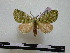  ( - BC-PTh0535)  @13 [ ] Copyright (2010) Unspecified Research Collection of Paul Thiaucourt
