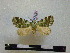  ( - BC-PTh0538)  @13 [ ] Copyright (2010) Unspecified Research Collection of Paul Thiaucourt