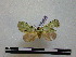  ( - BC-PTh0540)  @11 [ ] Copyright (2010) Unspecified Research Collection of Paul Thiaucourt