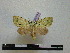  ( - BC-PTh0541)  @11 [ ] Copyright (2010) Unspecified Research Collection of Paul Thiaucourt