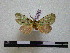  ( - BC-PTh0543)  @11 [ ] Copyright (2010) Unspecified Research Collection of Paul Thiaucourt
