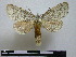  ( - BC-PTh0553)  @14 [ ] Copyright (2010) Unspecified Research Collection of Paul Thiaucourt