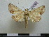  ( - BC-PTh0568)  @11 [ ] Copyright (2010) Unspecified Research Collection of Paul Thiaucourt