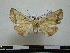  ( - BC-PTh0569)  @11 [ ] Copyright (2010) Unspecified Research Collection of Paul Thiaucourt