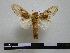  ( - BC-PTh0575)  @13 [ ] Copyright (2010) Unspecified Research Collection of Paul Thiaucourt