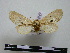  ( - BC-PTh0591)  @11 [ ] Copyright (2010) Unspecified Research Collection of Paul Thiaucourt