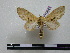  ( - BC-PTh0592)  @12 [ ] Copyright (2010) Unspecified Research Collection of Paul Thiaucourt