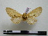  ( - BC-PTh0593)  @11 [ ] Copyright (2010) Unspecified Research Collection of Paul Thiaucourt