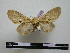 ( - BC-PTh0594)  @11 [ ] Copyright (2010) Unspecified Research Collection of Paul Thiaucourt