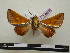  ( - BC-PTh0640)  @11 [ ] Copyright (2010) Unspecified Research Collection of Paul Thiaucourt