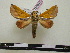  ( - BC-PTh0641)  @11 [ ] Copyright (2010) Unspecified Research Collection of Paul Thiaucourt