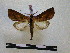  ( - BC-PTh0689)  @13 [ ] Copyright (2010) Unspecified Research Collection of Paul Thiaucourt
