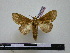  ( - BC-PTh0702)  @11 [ ] Copyright (2010) Unspecified Research Collection of Paul Thiaucourt