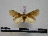  ( - BC-PTh0711)  @13 [ ] Copyright (2010) Unspecified Research Collection of Paul Thiaucourt