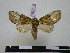  ( - BC-PTh0712)  @14 [ ] Copyright (2010) Unspecified Research Collection of Paul Thiaucourt