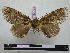  ( - BC-PTh0722)  @12 [ ] Copyright (2010) Unspecified Research Collection of Paul Thiaucourt