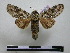  ( - BC-PTh0762)  @11 [ ] Copyright (2010) Unspecified Research Collection of Paul Thiaucourt