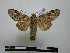  ( - BC-PTh0763)  @13 [ ] Copyright (2010) Unspecified Research Collection of Paul Thiaucourt