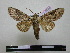  ( - BC-PTh0764)  @11 [ ] Copyright (2010) Unspecified Research Collection of Paul Thiaucourt