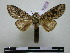  ( - BC-PTh0765)  @11 [ ] Copyright (2010) Unspecified Research Collection of Paul Thiaucourt