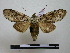 ( - BC-PTh0767)  @11 [ ] Copyright (2010) Unspecified Research Collection of Paul Thiaucourt