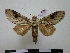  ( - BC-PTh0768)  @11 [ ] Copyright (2010) Unspecified Research Collection of Paul Thiaucourt