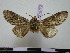  ( - BC-PTh0770)  @11 [ ] Copyright (2010) Unspecified Research Collection of Paul Thiaucourt