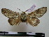  ( - BC-PTh0772)  @13 [ ] Copyright (2010) Unspecified Research Collection of Paul Thiaucourt