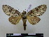  ( - BC-PTh0774)  @11 [ ] Copyright (2010) Unspecified Research Collection of Paul Thiaucourt