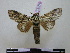  ( - BC-PTh0775)  @13 [ ] Copyright (2010) Unspecified Research Collection of Paul Thiaucourt