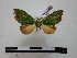  ( - BC-PTh0486)  @13 [ ] Copyright (2010) Unspecified Research Collection of Paul Thiaucourt