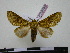  ( - BC-PTh0750)  @13 [ ] Copyright (2010) Unspecified Research Collection of Paul Thiaucourt