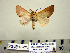  ( - Db19-6-3 B2840-49)  @13 [ ] Copyright (2010) Unspecified Research Collection of Paul Thiaucourt