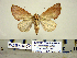  ( - Db19-6-5 B2840-50)  @13 [ ] Copyright (2010) Unspecified Research Collection of Paul Thiaucourt
