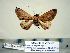  ( - Ed8-7-10 B2840-51)  @13 [ ] Copyright (2010) Unspecified Research Collection of Paul Thiaucourt
