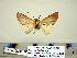 ( - Ed8-7-10 B2840-51)  @13 [ ] Copyright (2010) Unspecified Research Collection of Paul Thiaucourt