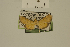  ( - USNM ENT 00933096)  @13 [ ] Unspecified (default): All Rights Reserved  Unspecified Unspecified
