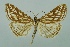  ( - BC MTD 00089)  @11 [ ] Unspecified (default): All Rights Reserved  Unspecified Unspecified
