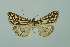  ( - BC MTD 00094)  @11 [ ] Unspecified (default): All Rights Reserved  Unspecified Unspecified