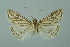  ( - BC MTD 00095)  @11 [ ] Unspecified (default): All Rights Reserved  Unspecified Unspecified