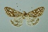  ( - BC MTD 00096)  @11 [ ] Unspecified (default): All Rights Reserved  Unspecified Unspecified