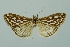 ( - BC MTD 00097)  @11 [ ] Unspecified (default): All Rights Reserved  Unspecified Unspecified