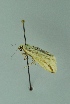  ( - BC MTD 00102)  @13 [ ] Unspecified (default): All Rights Reserved  Unspecified Unspecified