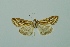  ( - BC MTD 00111)  @14 [ ] Unspecified (default): All Rights Reserved  Unspecified Unspecified