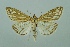  ( - BC MTD 00125)  @14 [ ] Unspecified (default): All Rights Reserved  Unspecified Unspecified