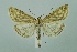  ( - BC MTD 00127)  @11 [ ] Unspecified (default): All Rights Reserved  Unspecified Unspecified