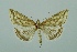  ( - BC MTD 00129)  @11 [ ] Unspecified (default): All Rights Reserved  Unspecified Unspecified