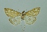  ( - BC MTD 00130)  @11 [ ] Unspecified (default): All Rights Reserved  Unspecified Unspecified